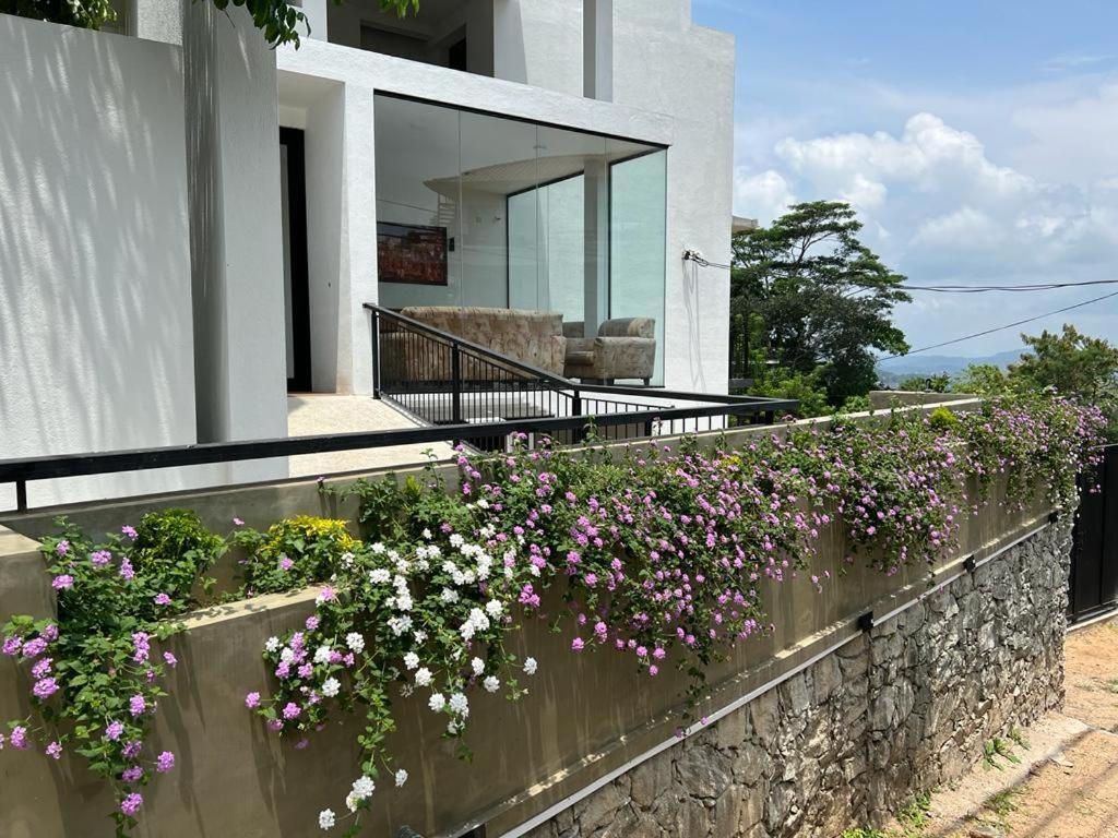 Hotel Kandyan View "Free Pickup From Kandy City" Kültér fotó
